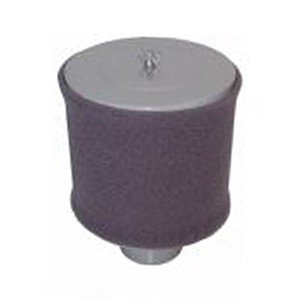 Solberg FT-15-100 FT-Series Miniature Exposed 1" Inlet Filter
